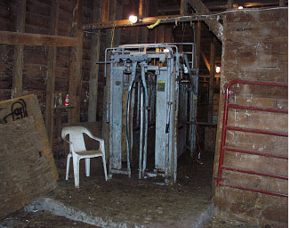 Photo #2.  Squeeze chute where heifer was being held.