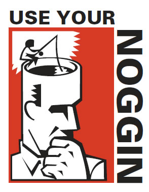 Use your Noggin