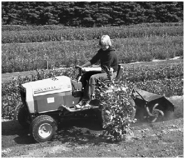 child working in a field on a small machine