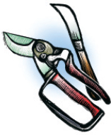 clipper and machete