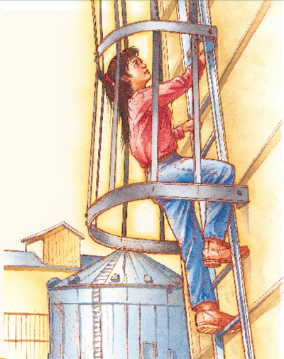 climbing a guarded ladder
