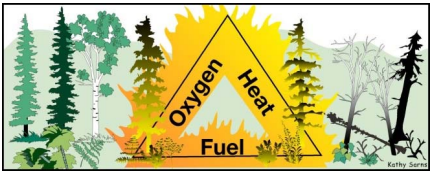 Graphic triangle: Heat, Oxygen, Fuel