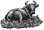 Livestock (male livestock such as bulls, boars, etc.)