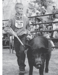 boy with a hog in a competition