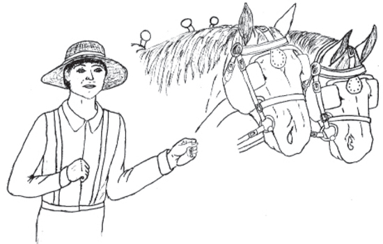 boy leading workhorses without reins or rope- children can draw in where they should be.