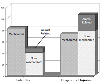 Bar graph showing fatalities vs Hospitalized injuries