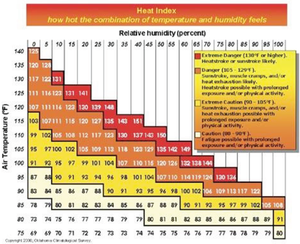 Heat Stress Temperature Chart