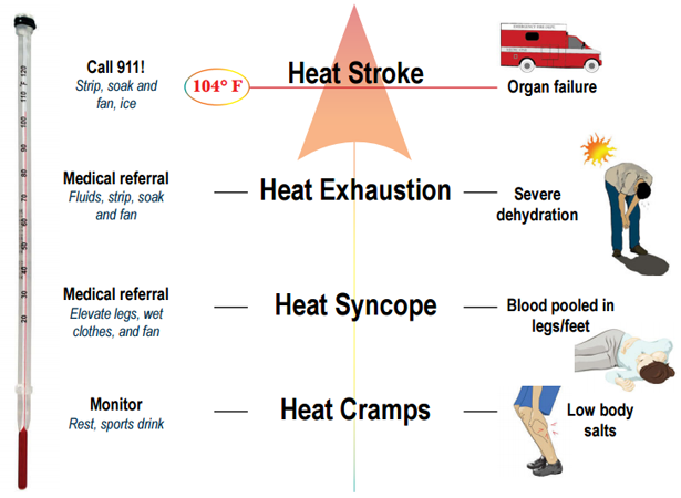 Heat illness graphic