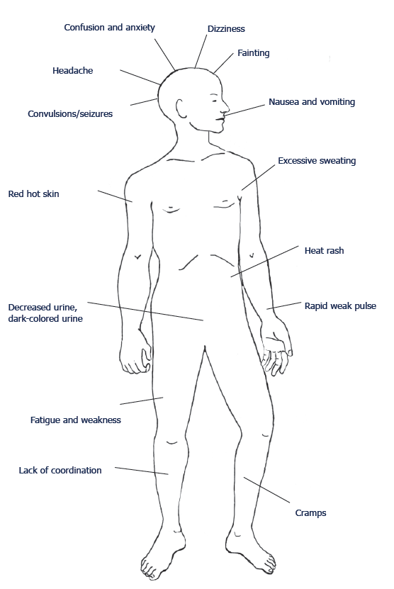 Body map picture
