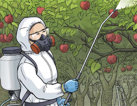 Colored drawing of appropriately dressed person spraying pesticides in an orchard