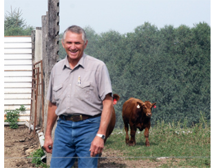 Photo of an older farmer man with a cow