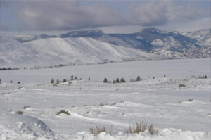Winter scene from agrability wyoming