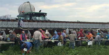 farm workers near pesticide applicator
