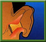 ear plug position in the ear canal