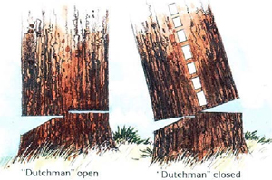 dutchman cuts