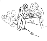 man with chainsaw and fallen tree