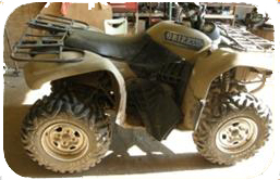 This is a picture of the all-terrain vehicle.