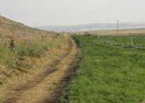 Fotografia del camino de tierra junto al campo de heno.