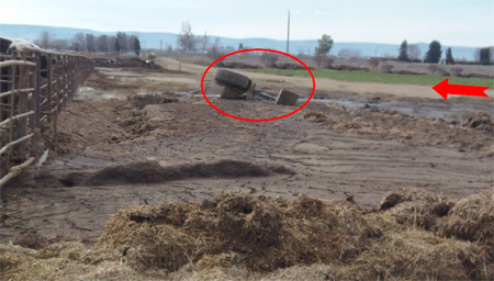 Manure pit with the loader on its side partially submerged. The victim was driving along the dirt road in the upper right of the photo in the direction of the arrow when he left the road and drove across the field toward the cow pen.