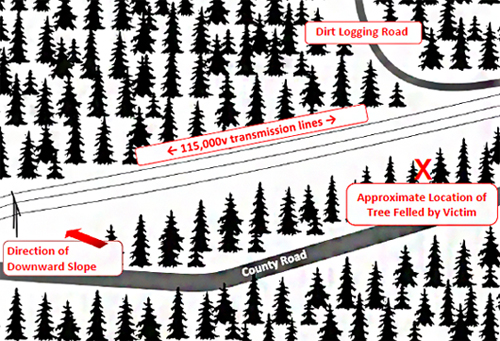 Figure 1 where diagram of incident site is described