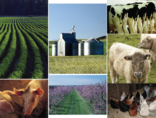 many pictures of animals and countryside and grain bins as sources for air contaminants
