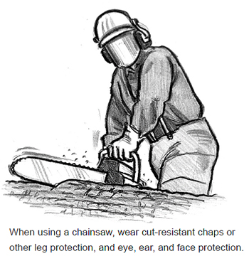 When using a chainsaw, wear cut-resistant chaps or other leg protection, and eye, ear, and face protection.