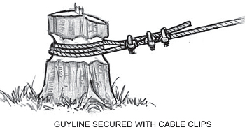 guyline secured with cable clips around a stump