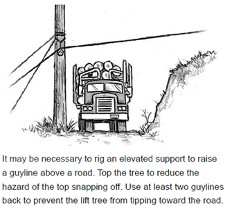 It may be necessary to rig an elevated support to raise a guyline above a road. Top the tree to reduce the hazard of the top snapping off. Use at least two guylines back to prevent the lift tree from tipping toward the road.