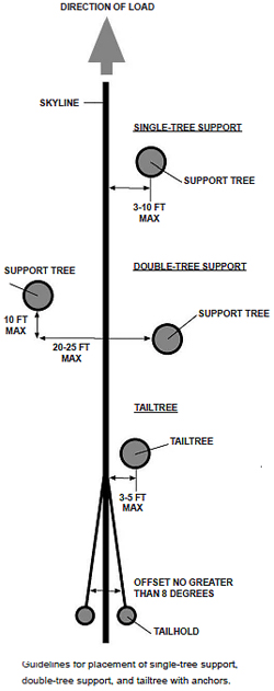 guidelines for placement of single-tree support, double tree support, and tailtree with anchors