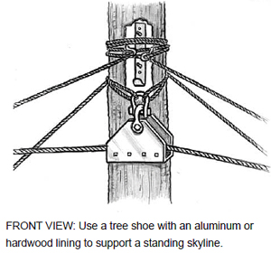 FRONT VIEW: Use a tree shoe with an aluminum or hardwood lining to support a standing skyline.