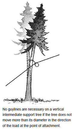 No guylines are necessary on a vertical intermediate support tree if the tree does not move more than its diameter in the direction of the load at the point of attachment.
