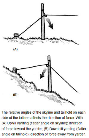 The relative angles of the skyline and tailhold on each side of the tailtree affects the direction of force. With
(A) Uphill yarding (flatter angle on skyline): direction of force toward the yarder; (B) Downhill yarding (flatter angle on tailhold): direction of force away from yarder.