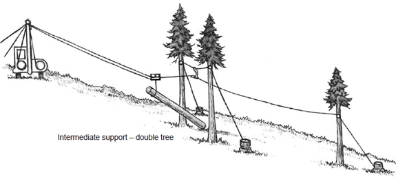 double tree support