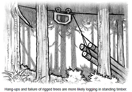Hang-ups and failure of rigged trees are more likely logging in standing timber.