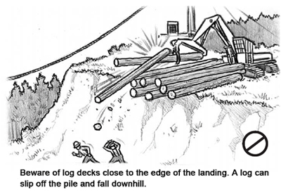 Beware of log decks close to the edge of the landing. A log can slip off the pile and fall downhill.