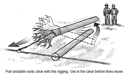 Pull unstable roots clear with the rigging. Get in the clear before lines move.