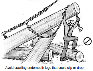 Avoid crawling underneah logs that could slip or drop