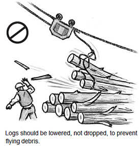 Logs should be lowered, not dropped, to prevent flying debris.