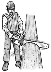 man with a chainsaw on a log