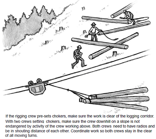 If the rigging crew pre-sets chokers, make sure the work is clear of the logging corridor. With two crews setting chokers, make sure the crew downhill on a slope is not endangered by activity of the crew working above. Both crews need to have radios and be in shouting distance of each other. Coordinate work so both crews stay in the clear of all moving turns.