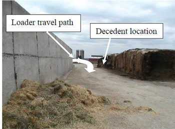 Figure 4. Incident area, standing on east end of bunker silo looking west.