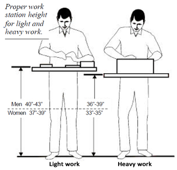 standing heights for hand work