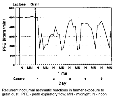 Chart of recurrent nocturnal asthmatic reactions in farmer exposure to grain dust.