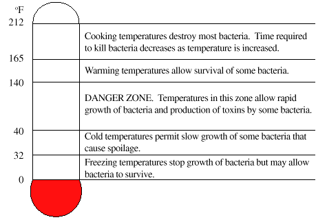 What Temperature Kills Bacteria in Food?