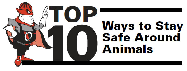Top 10 Ways to Stay Safe Around Animals