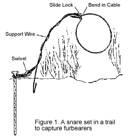 What is a snare trap?