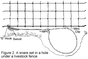 NASD - Proper Use of Snares for Capturing Furbearers