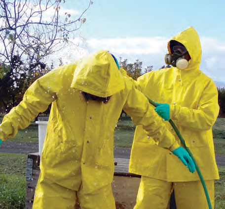 photo: pair washing PPE