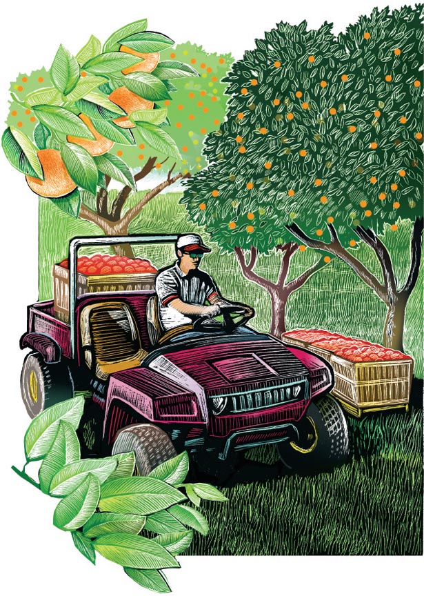 ATV in a fruit orchard