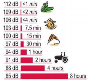 Graph where you can avoid hearing loss by avoiding endurance of sound for an amount of time.